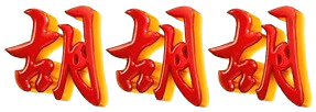 logo LIGAHOKI